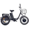Электровелосипед Eltreco Porter Fat 500 (черный)