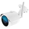 IP-камера Ginzzu HWB-2031S